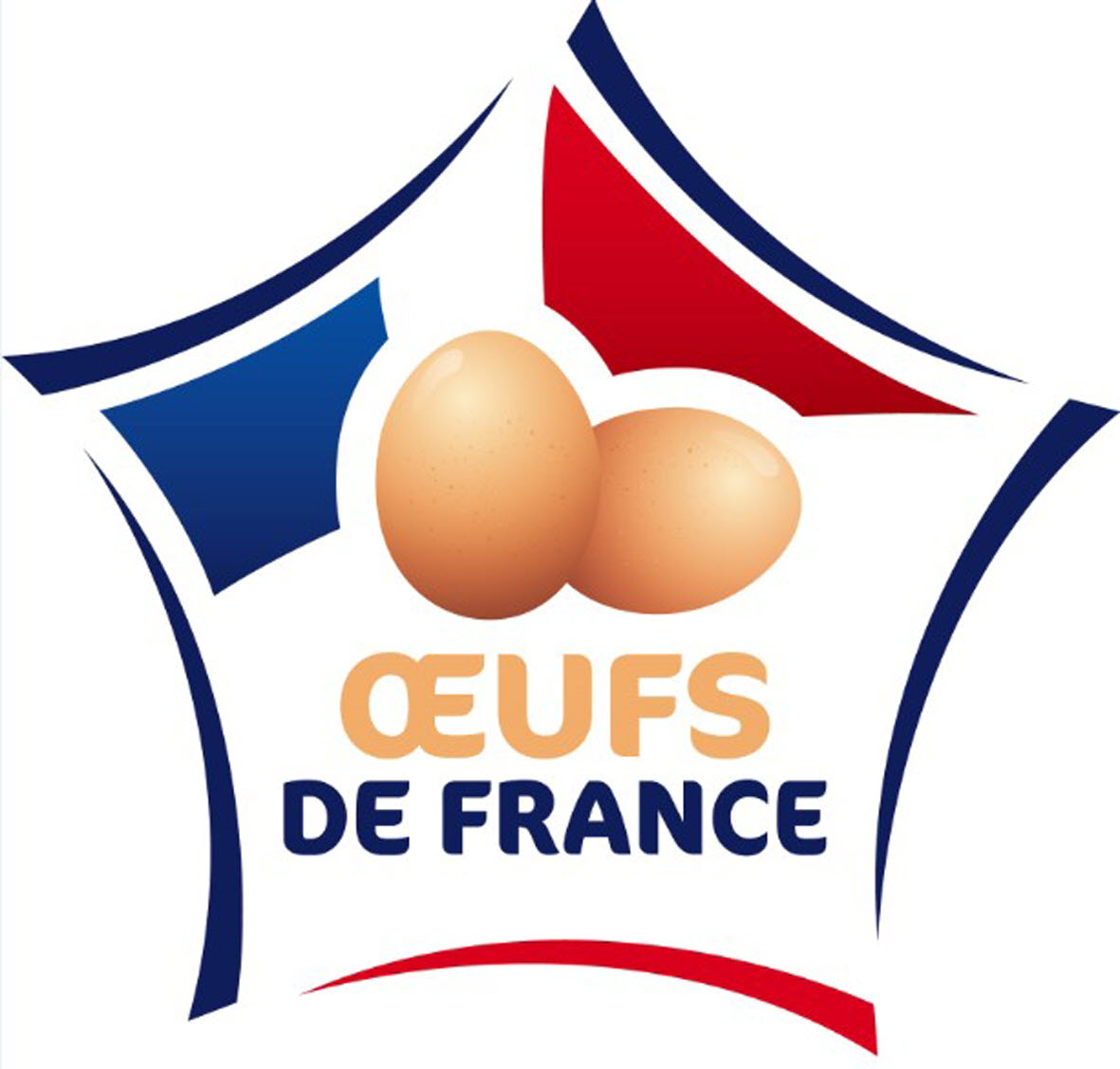 le-nouveau-logo-quot-oeufs-de-france-quot-photo-cnpo-interprofession-des-oeufs-1524757059